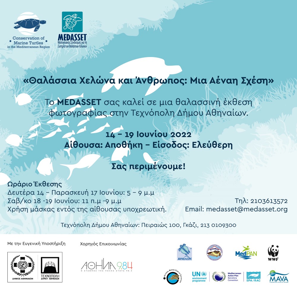 medasset technopoli photo 1jpg