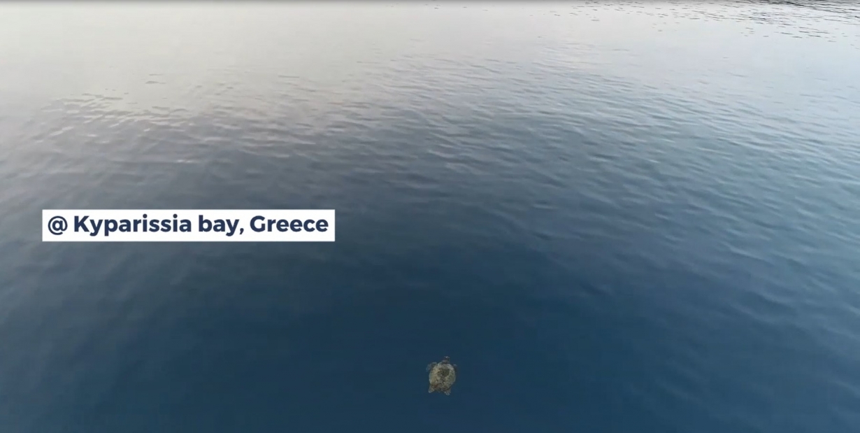 Nesting Monitoring in Kyparissia Bay Greece