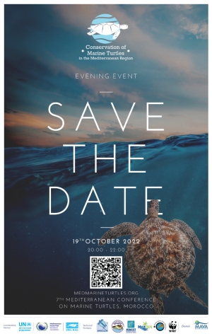 Marine Turtles: Ambassadors of the Mediterranean