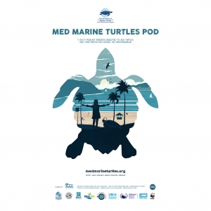 MED MARINE TURTLES POD